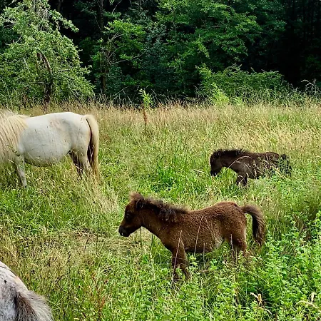 Mendiondo * Ustaritz